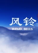 夜月直播视频观看